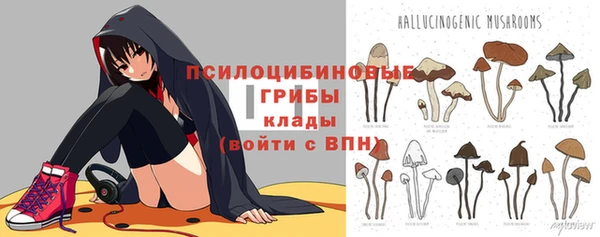 ПСИЛОЦИБИНОВЫЕ ГРИБЫ Касимов