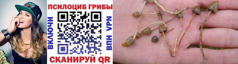 Псилоцибиновые грибы мицелий  Купить закладки  Десногорск 